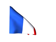 transfert de souveraineté - URGENT : Le gouvernement a encore trahis les Français et la France : « les députés votent pour un transfert de souveraineté à l’Europe ». Drapeau-France_240-gif